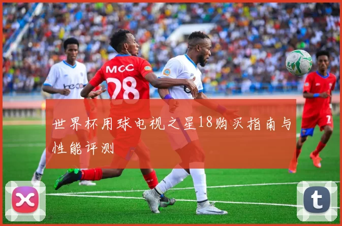 世界杯用球电视之星18购买指南与性能评测