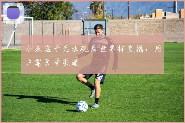 小米盒子无法观看世界杯直播,用户需另寻渠道