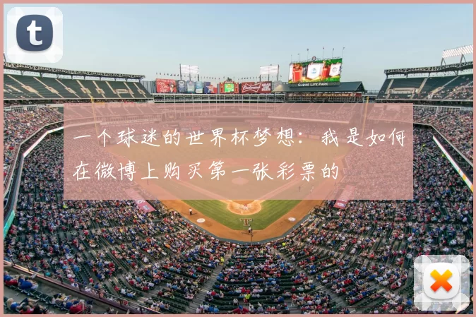 一个球迷的世界杯梦想:我是如何在微博上购买第一张彩票的