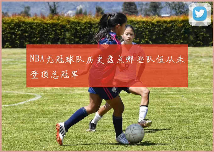 NBA无冠球队历史盘点哪些队伍从未登顶总冠军