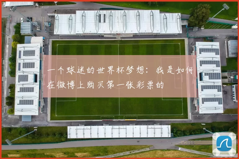 一个球迷的世界杯梦想:我是如何在微博上购买第一张彩票的