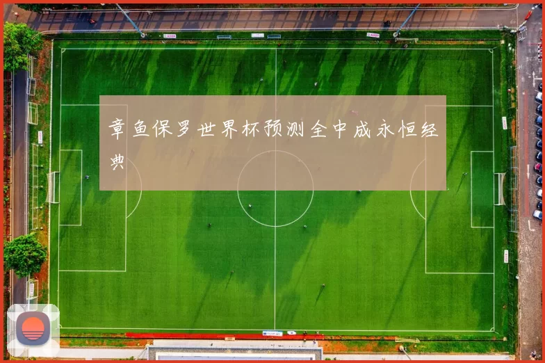 章鱼保罗世界杯预测全中成永恒经典