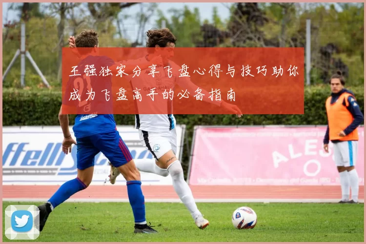 王强独家分享飞盘心得与技巧助你成为飞盘高手的必备指南