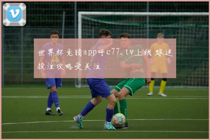 世界杯竞猜app呼c77.tv上线 球迷投注攻略受关注
