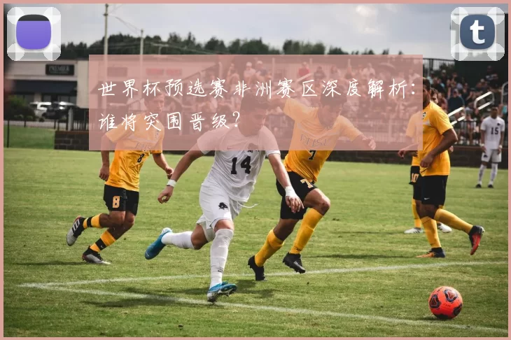 世界杯预选赛非洲赛区深度解析:谁将突围晋级?