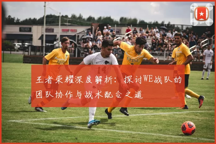 王者荣耀深度解析:探讨WE战队的团队协作与战术配合之道