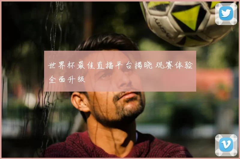 世界杯最佳直播平台揭晓 观赛体验全面升级