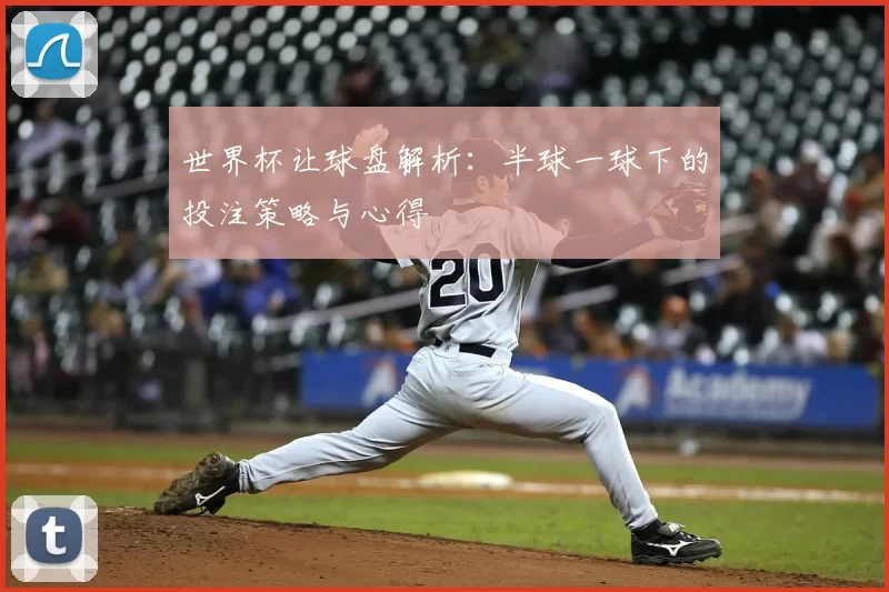 世界杯让球盘解析:半球一球下的投注策略与心得