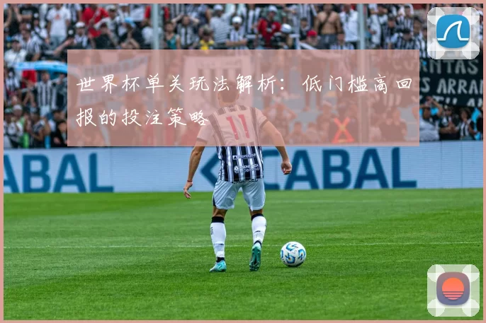 世界杯单关玩法解析:低门槛高回报的投注策略