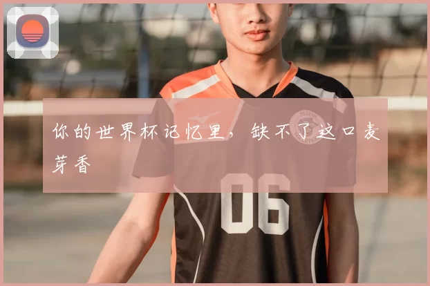 你的世界杯记忆里,缺不了这口麦芽香